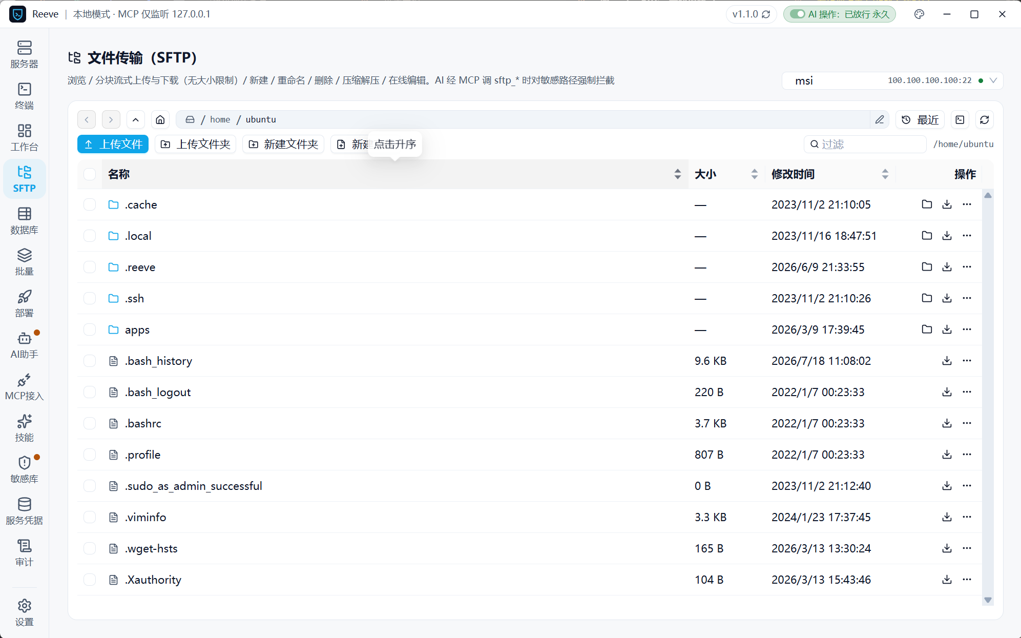 SFTP 文件传输界面